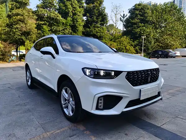 Wey VV5 2020
