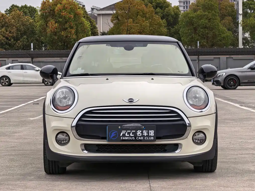 MINI MINI 2015