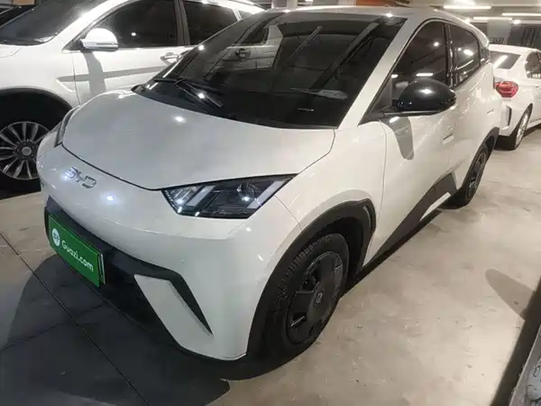 BYD Seagull 2024