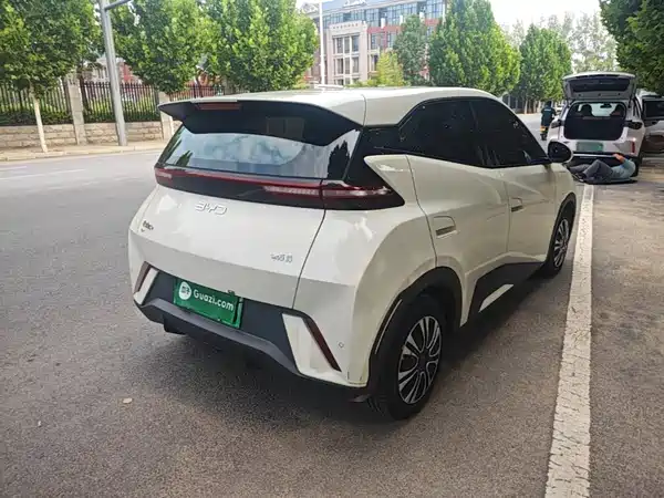 BYD Seagull 2025