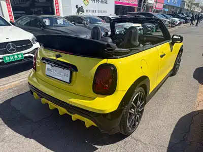 MINI MINI 2025