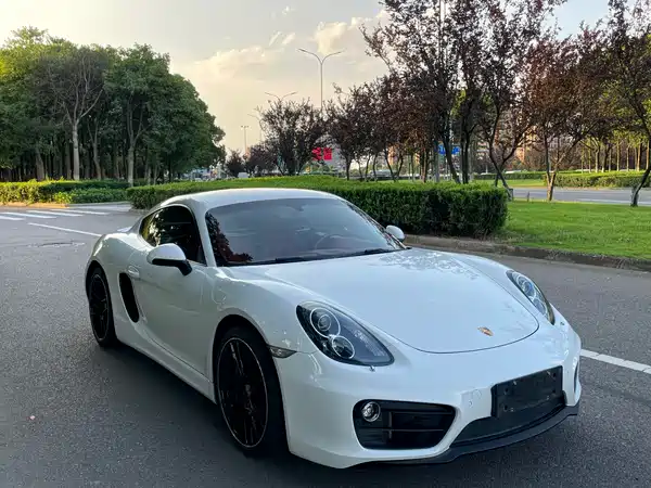 Porsche Cayman 2015