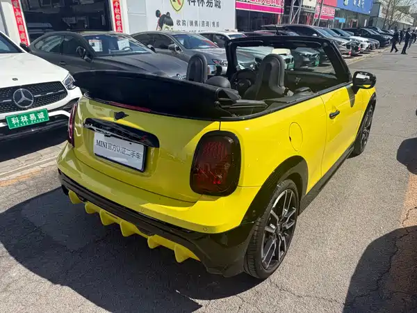 MINI MINI 2025
