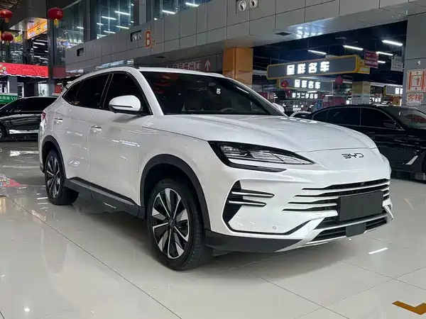 BYD Song PLUS New Energy 2024