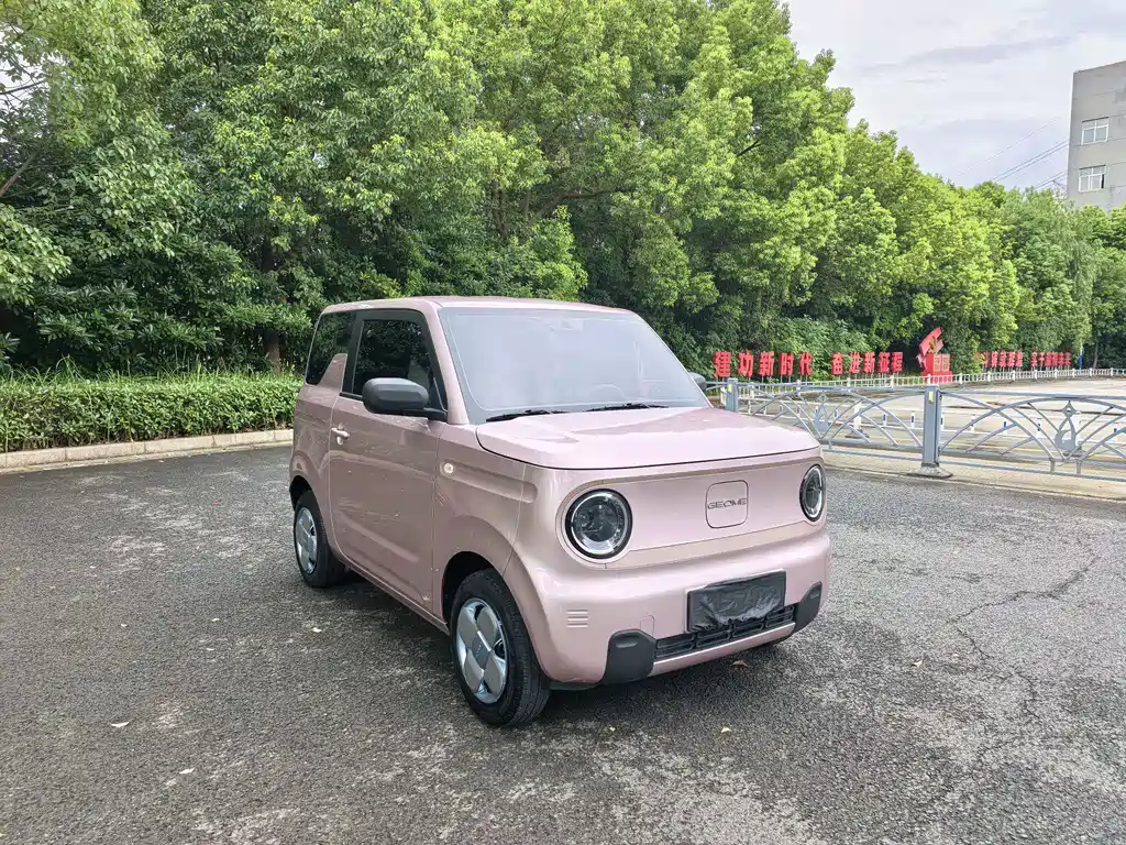 Geely Galaxy Panda 2025 — фото 3