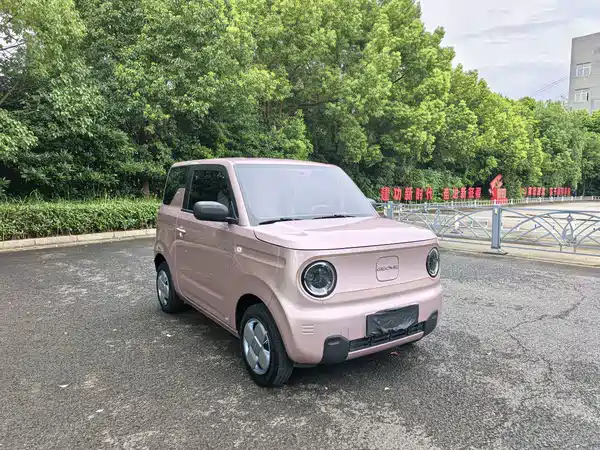 Geely Galaxy Panda 2025