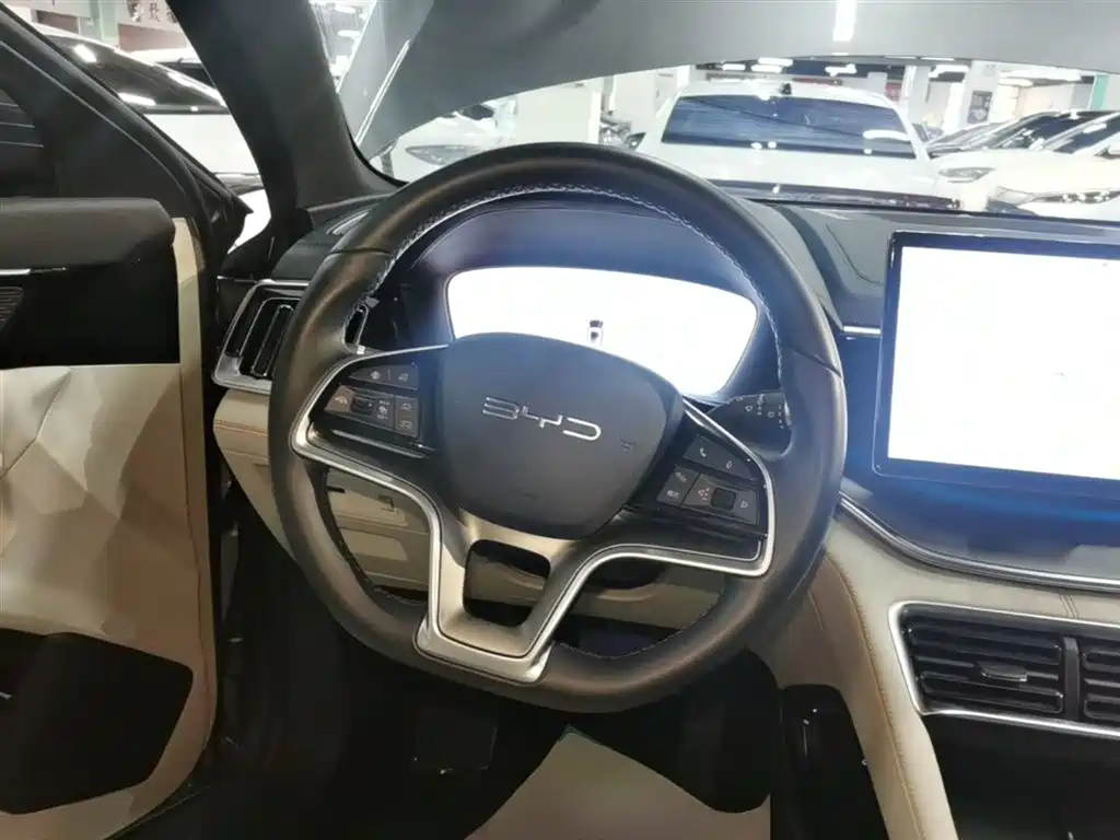 BYD PLUS New Energy 2024 — фото 11