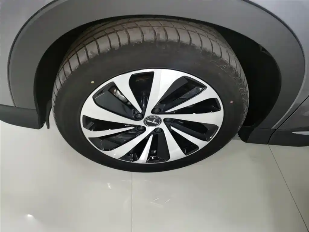 BYD PLUS New Energy 2024 — фото 23