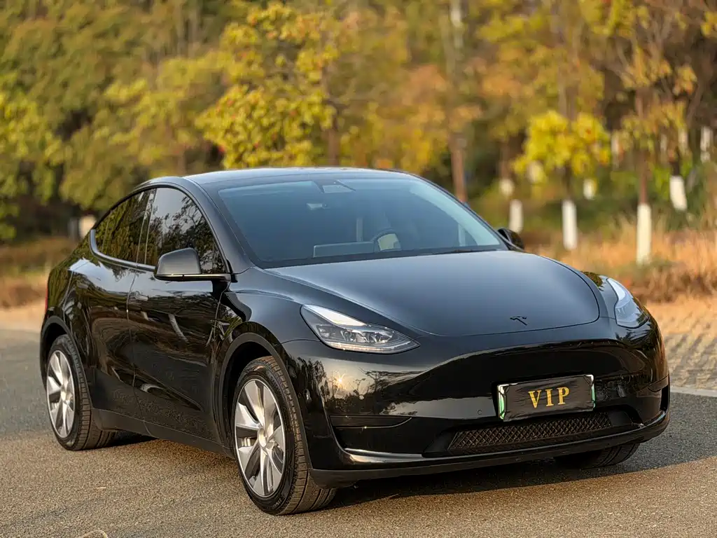 Tesla Model Y 2023 — фото 3
