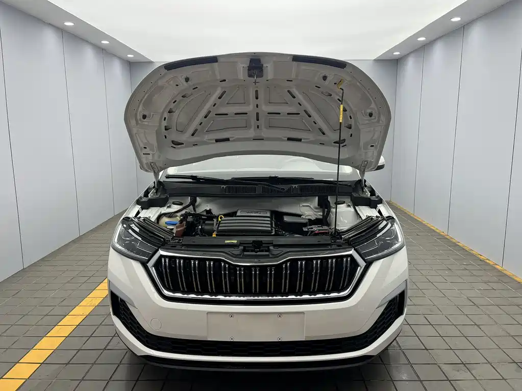 Skoda Kamiq 2022 — фото 16