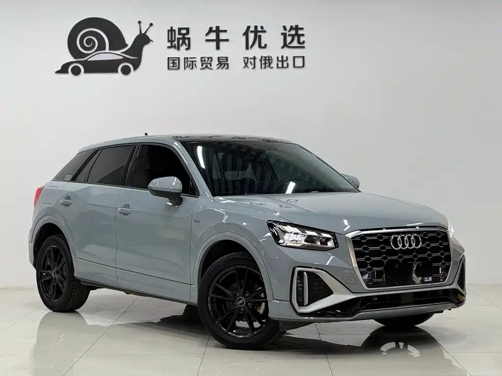 Audi Q2L 2022