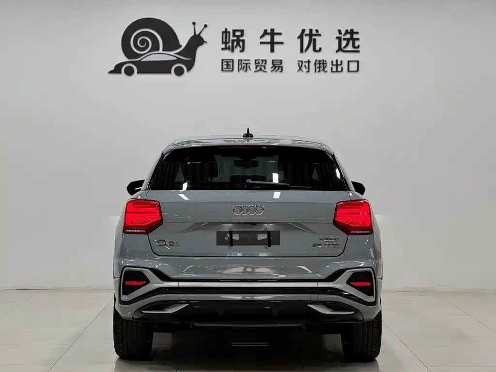 Audi Q2L 2022