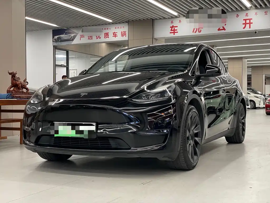 Tesla Model Y 2021