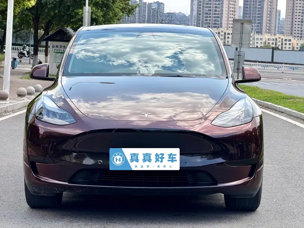 Tesla Model Y 2023 — фото 2