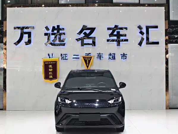 BYD Seagull 2024