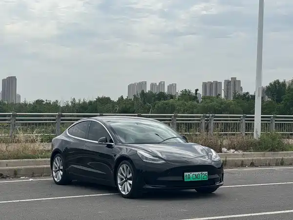 Tesla Model 3 2020