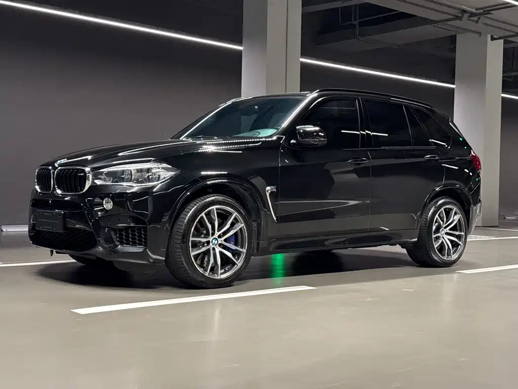 BMW X5 M 2016 — фото 3