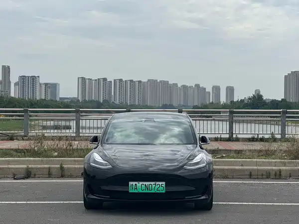 Tesla Model 3 2020