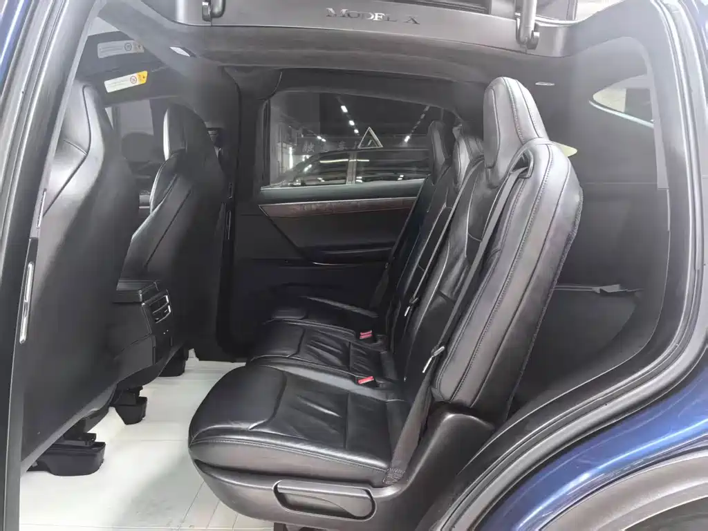 Tesla Model X 2017 — фото 9