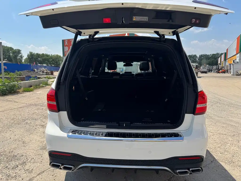 Mercedes-Benz GLS 2017 — фото 16
