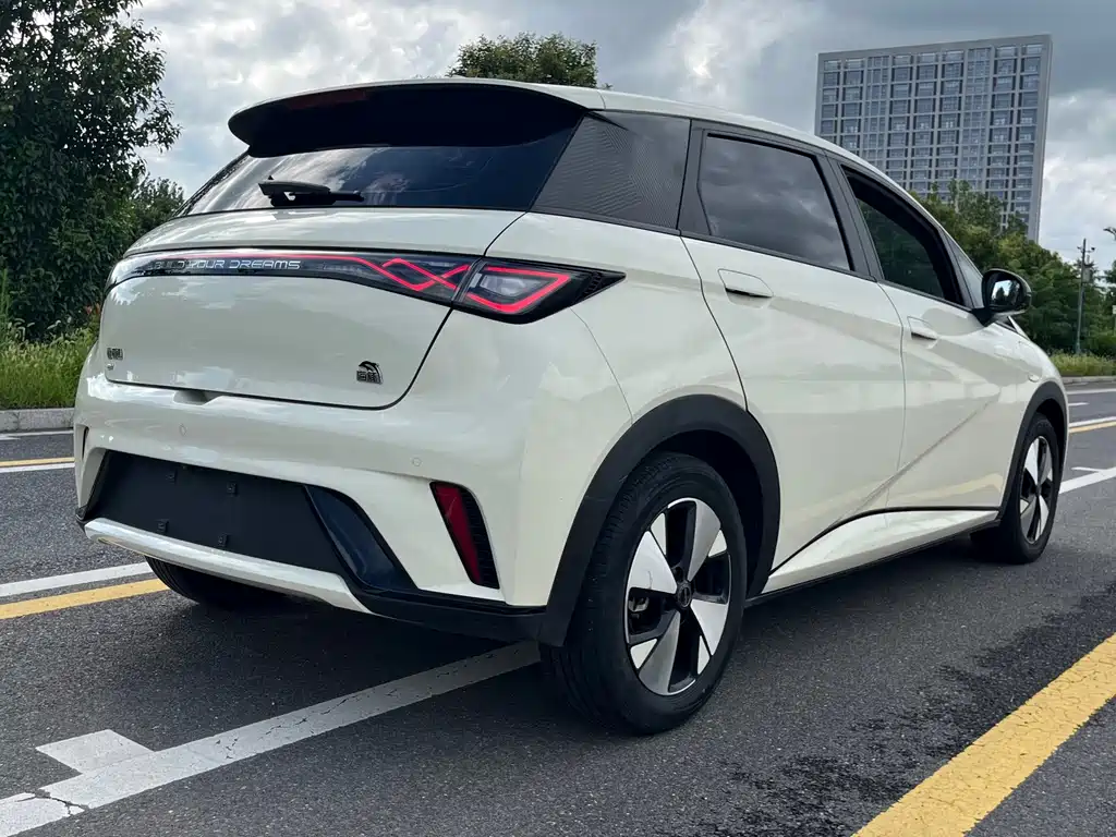 BYD Dolphin 2023 — фото 14
