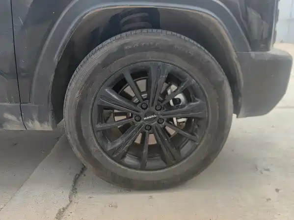 Haval Raptors New Energy 2024