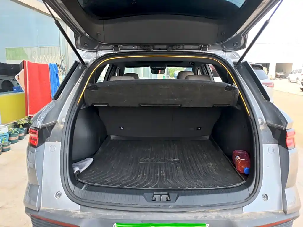 BYD Pro New Energy 2024 — фото 19