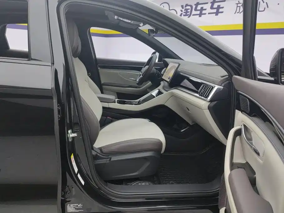 BYD Song PLUS New Energy 2024 — фото 8