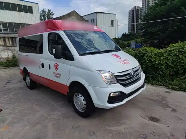 Maxus V80 2024
