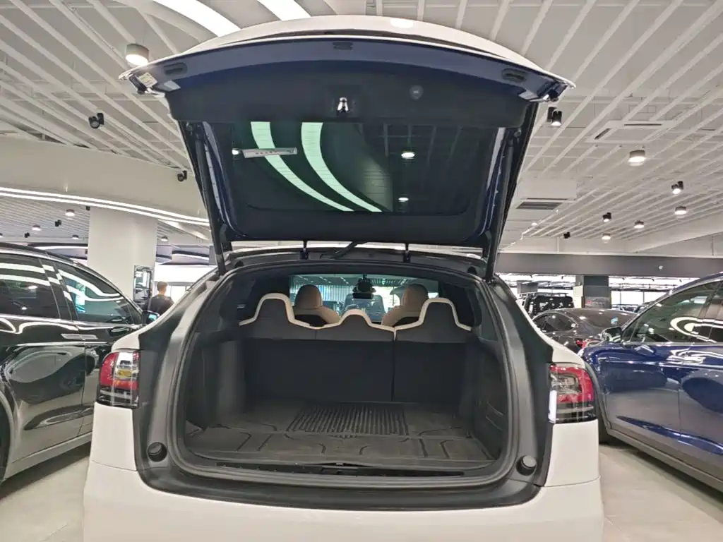Tesla Model X 2024 — фото 15