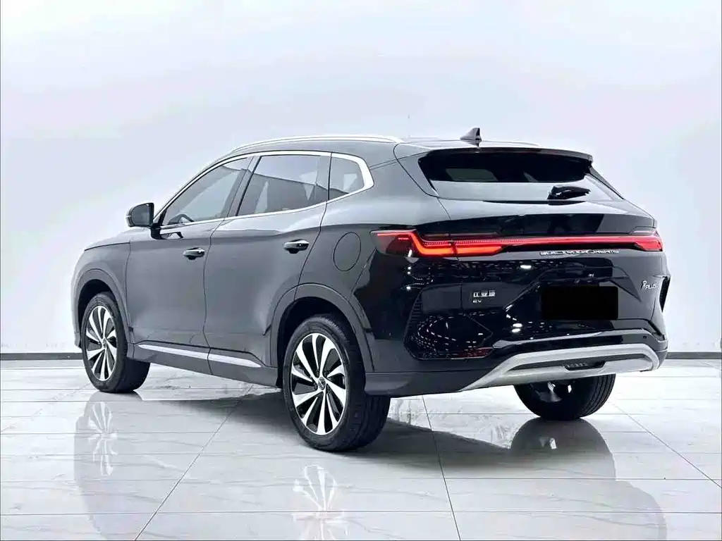 BYD PLUS New Energy 2024 — фото 9