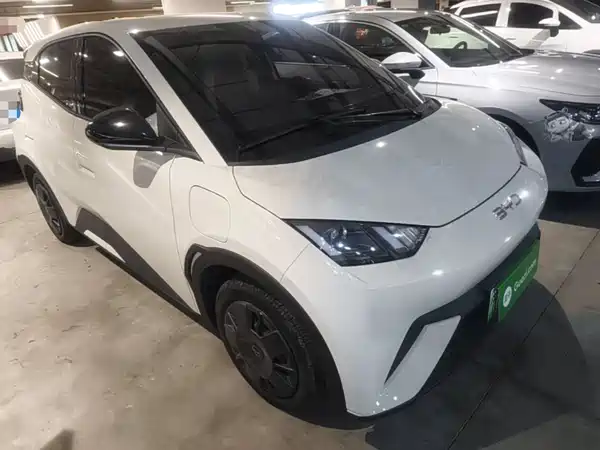 BYD Seagull 2024