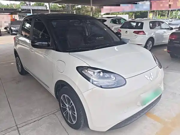 Wuling Bingo 2024