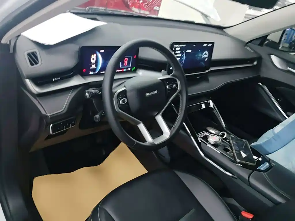 Haval H6 2021 — фото 10