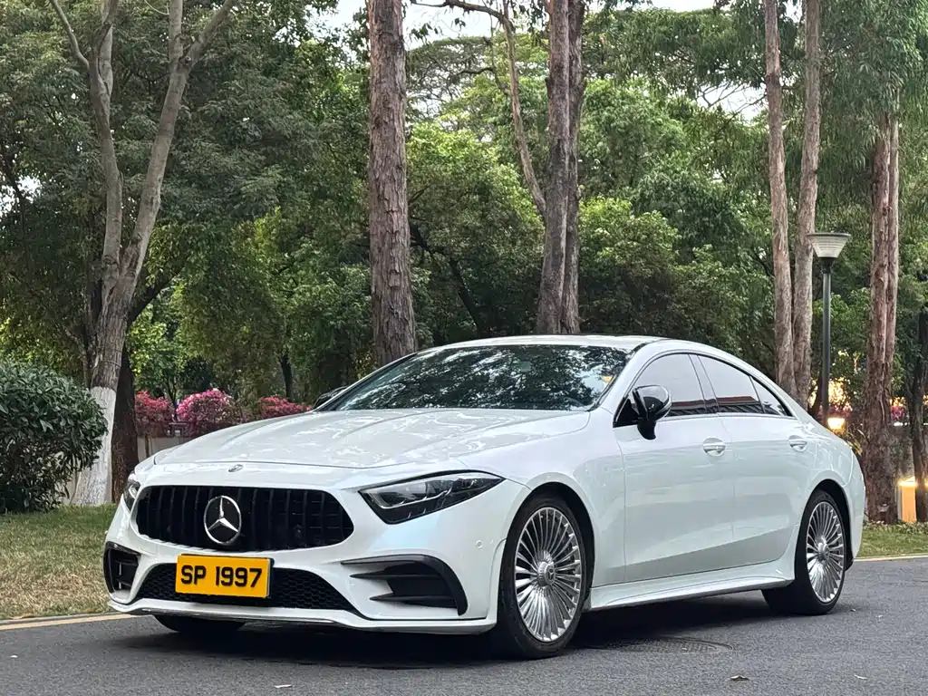 Mercedes-Benz CLS 2020 — фото 1
