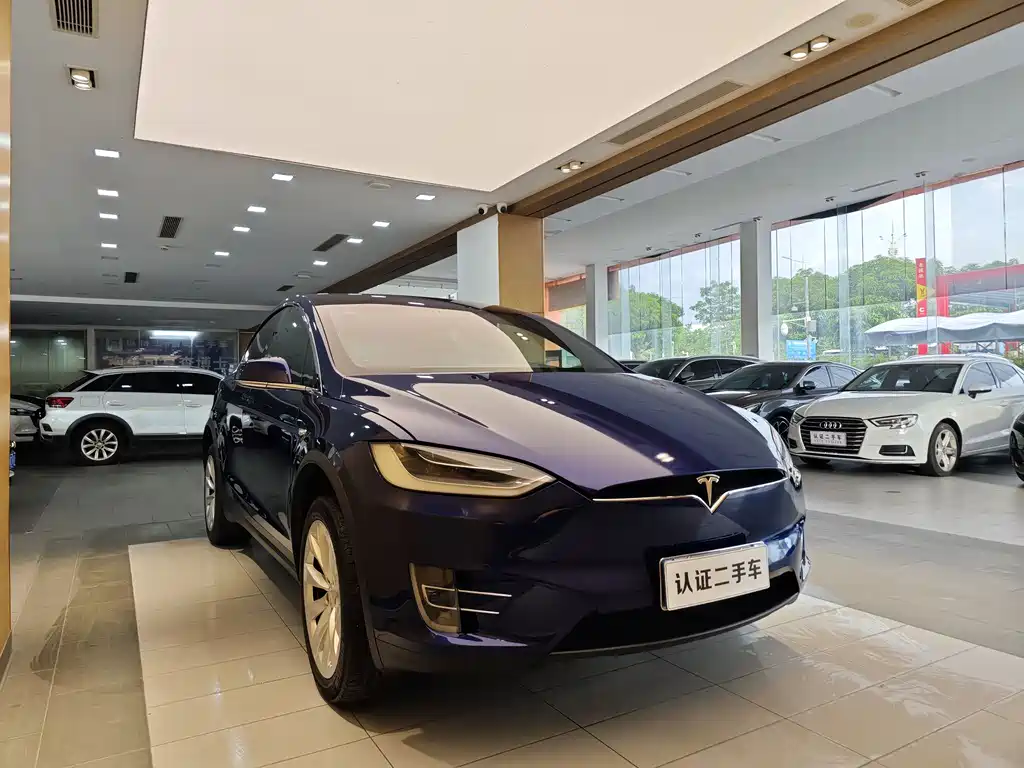 Tesla Model X 2017 — фото 5