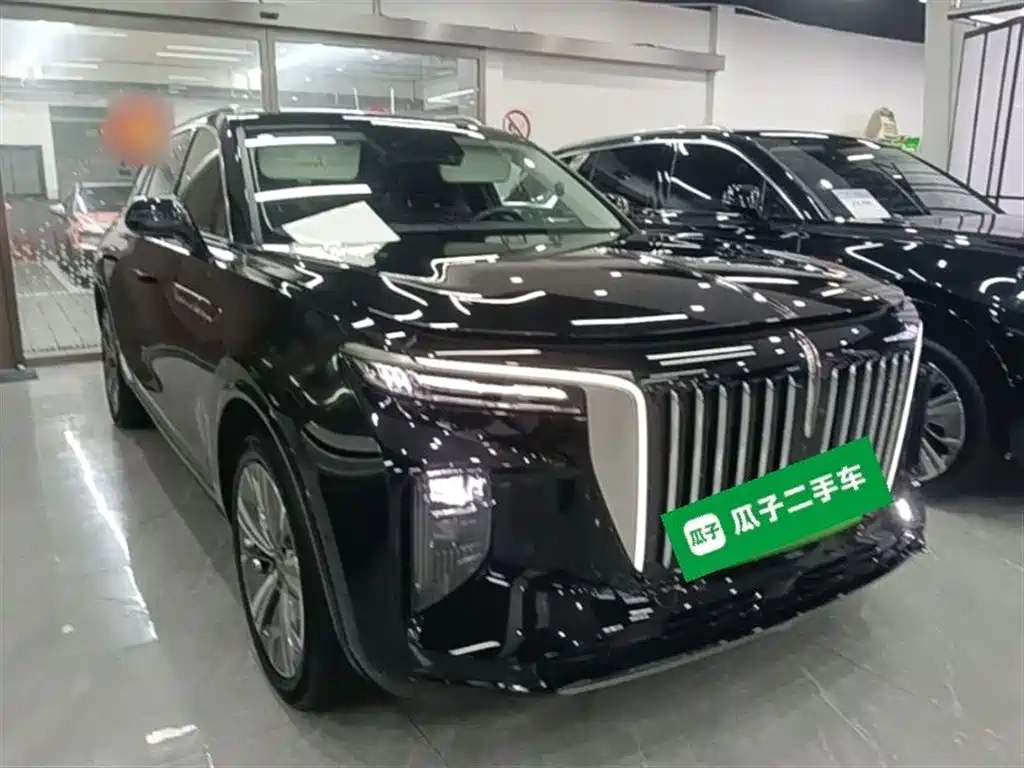 Hongqi E-HS9 2023 — фото 4