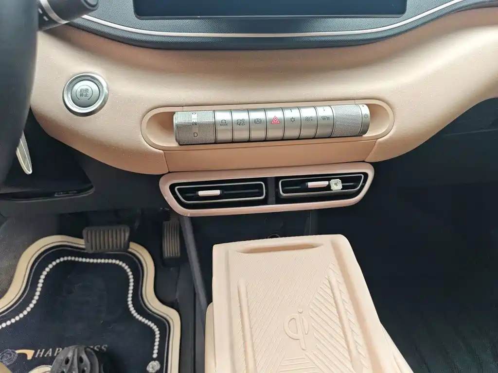 BYD Seagull 2024