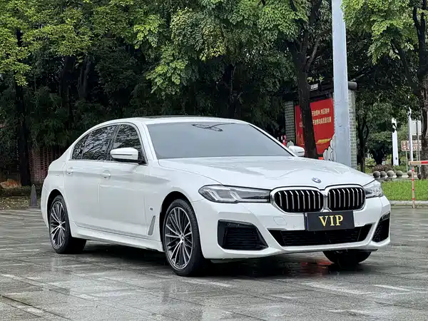 BMW 5 Series 2022