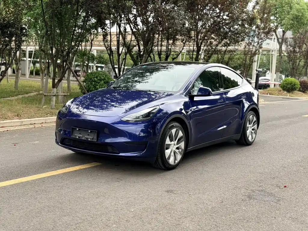 Tesla Model Y 2023 — фото 1