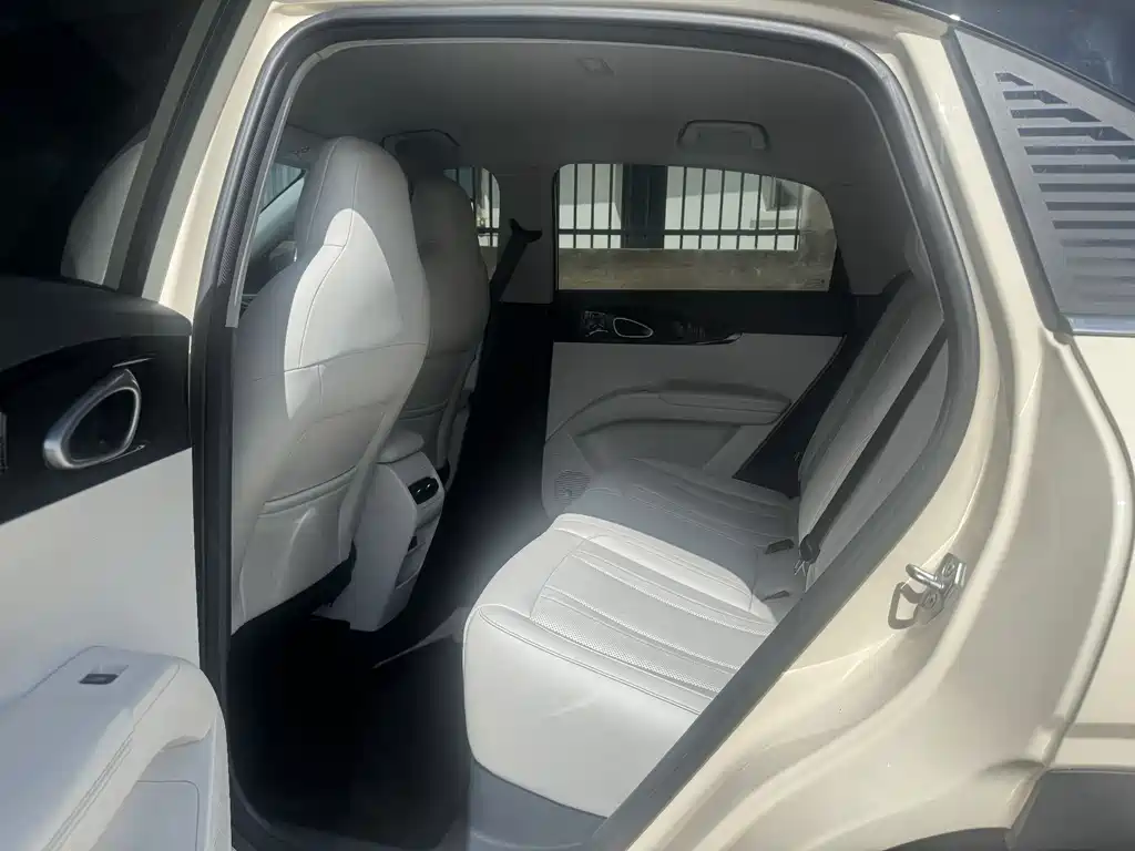 Geely Galaxy Starwish 2024 — фото 8