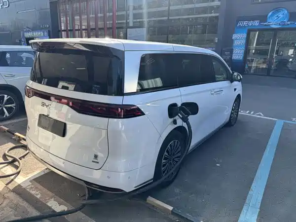 BYD Summer 2025