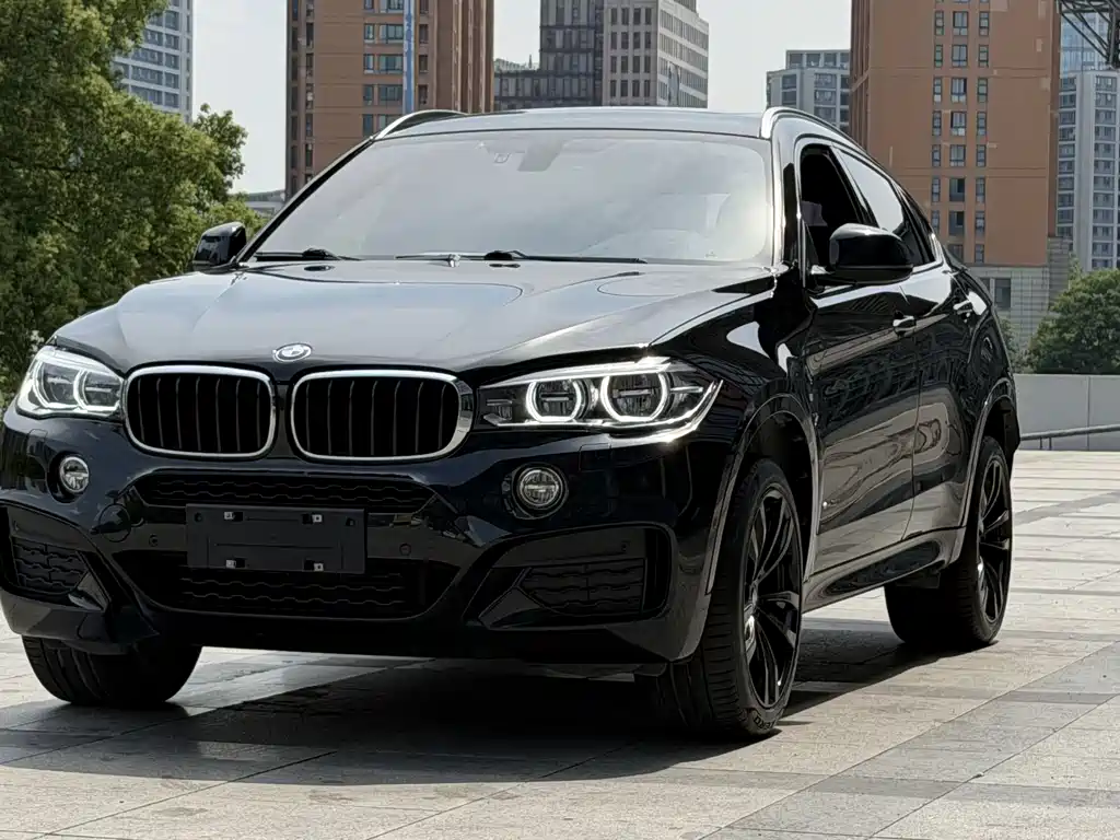 BMW X6 2018 — фото 1