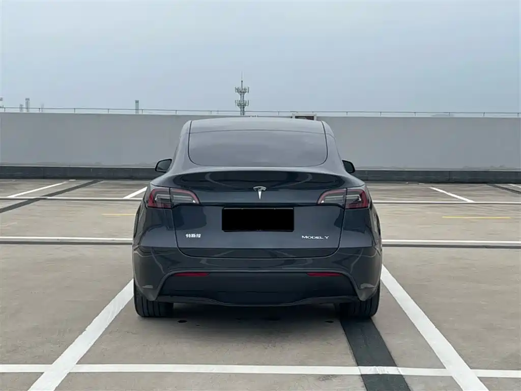 Tesla Model Y 2024 — фото 6