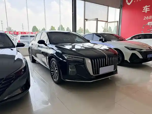 Hongqi H5 2024