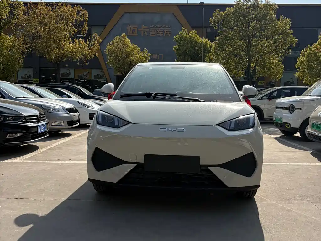 BYD Seagull 2026