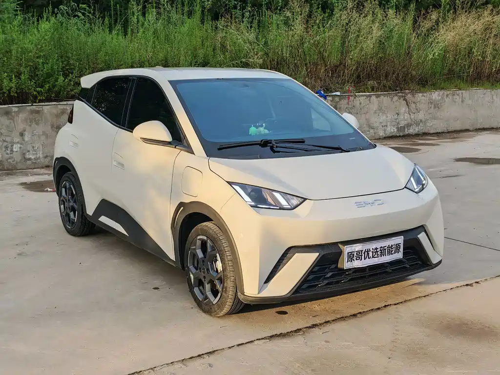 BYD Seagull 2024