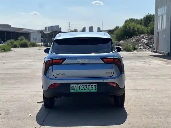 Neta V 2021