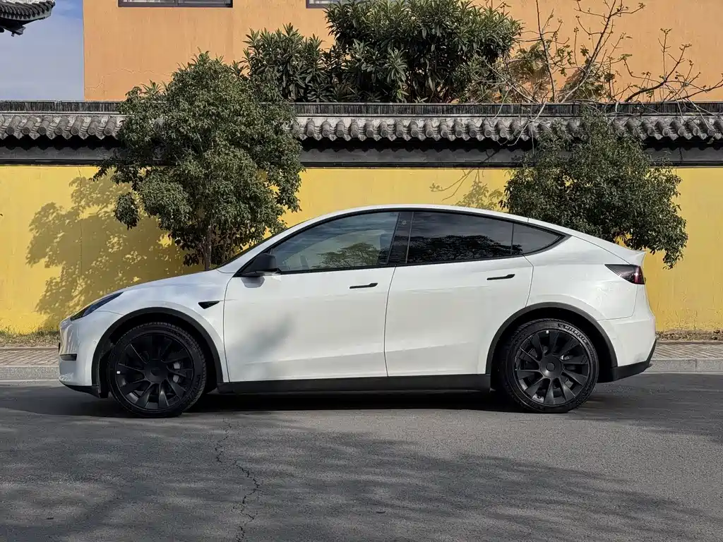 Tesla Model Y 2021 — фото 4