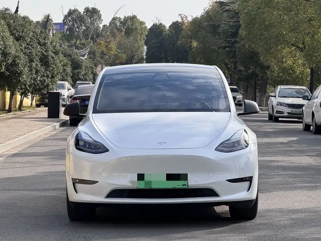 Tesla Model Y 2021 — фото 2
